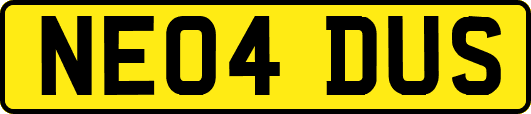 NE04DUS