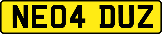 NE04DUZ