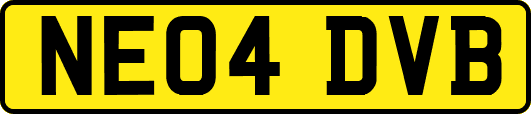 NE04DVB