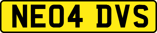 NE04DVS