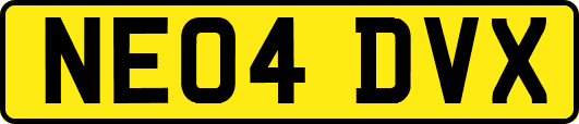 NE04DVX