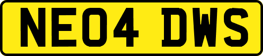NE04DWS