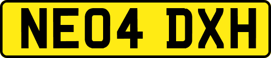 NE04DXH