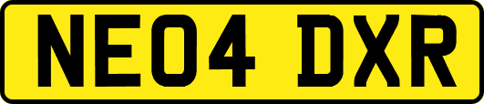 NE04DXR
