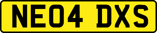 NE04DXS