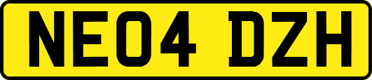 NE04DZH