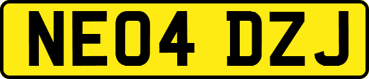 NE04DZJ