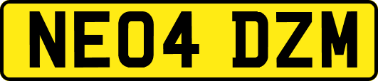 NE04DZM