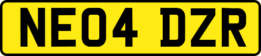NE04DZR