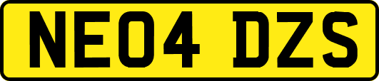 NE04DZS