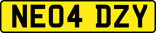 NE04DZY