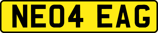 NE04EAG