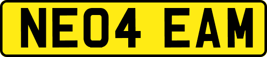 NE04EAM