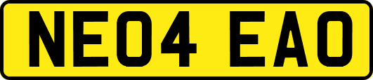 NE04EAO