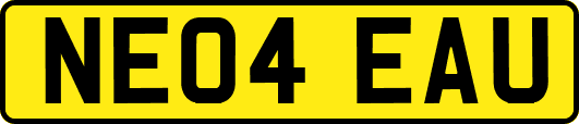 NE04EAU
