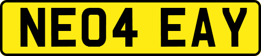 NE04EAY