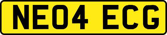 NE04ECG