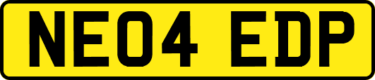 NE04EDP