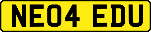 NE04EDU