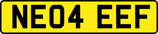 NE04EEF
