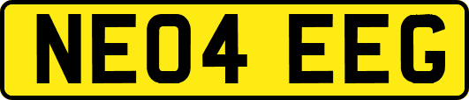NE04EEG