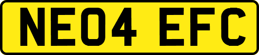 NE04EFC