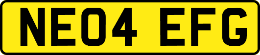 NE04EFG