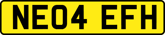 NE04EFH