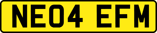 NE04EFM