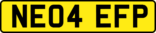 NE04EFP