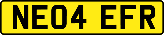 NE04EFR