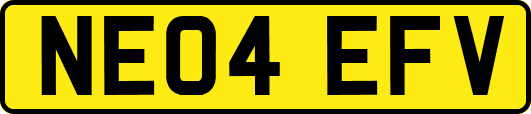 NE04EFV