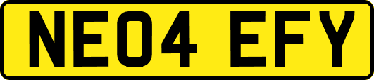 NE04EFY