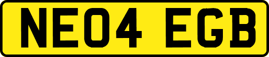 NE04EGB