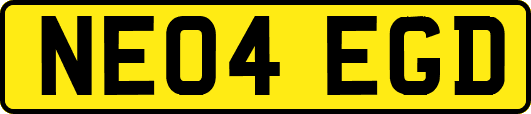 NE04EGD