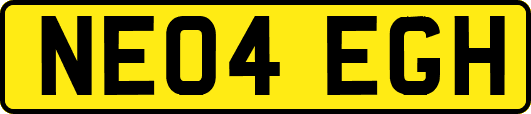 NE04EGH