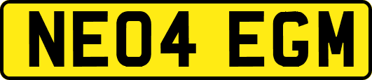 NE04EGM