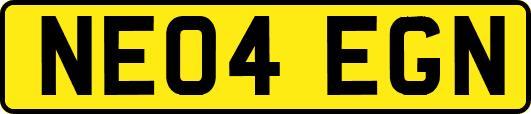 NE04EGN