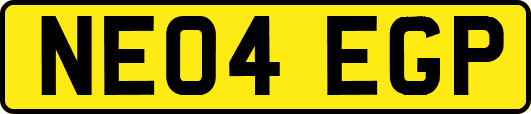 NE04EGP