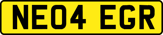 NE04EGR