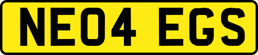 NE04EGS