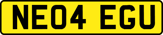 NE04EGU