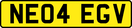 NE04EGV