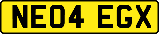 NE04EGX