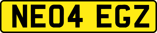 NE04EGZ