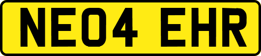 NE04EHR