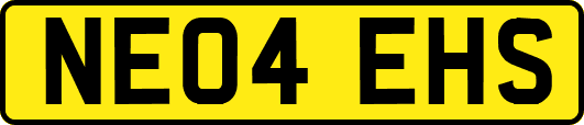 NE04EHS