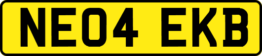 NE04EKB