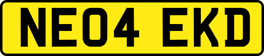 NE04EKD