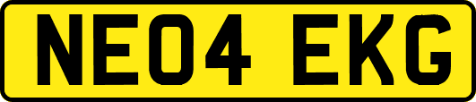 NE04EKG